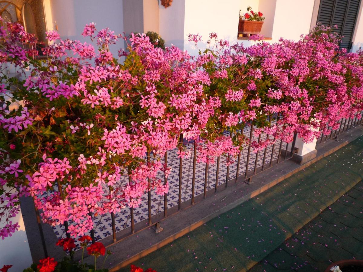 B&B Dea Fortuna Bacoli Bagian luar foto